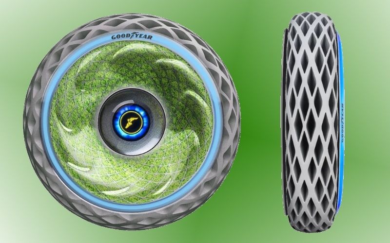 Fotosintetične pnevmatike