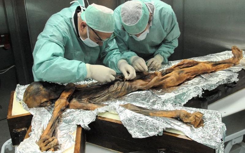 Kaj je jedel Ötzi?