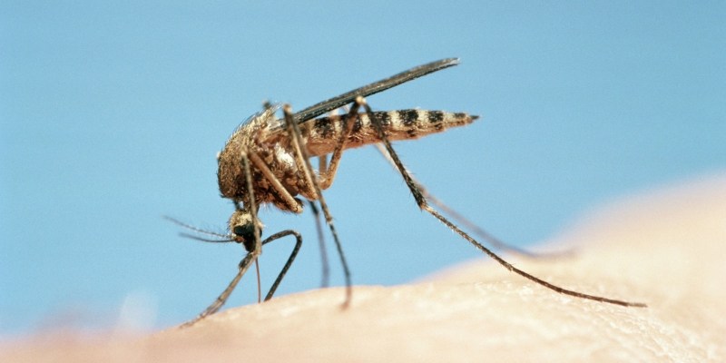 Malarije bi se lahko znebili! Toda ali si želimo?