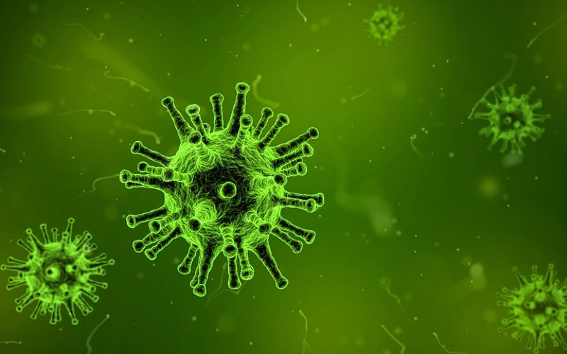 Bodo antibiotike nadomestili virusi?